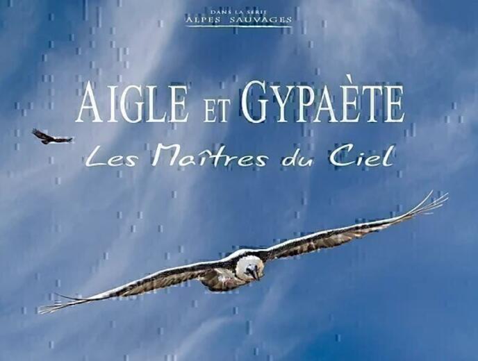 Aigle et Gypaète, Les Maîtres du Ciel - Photo 0