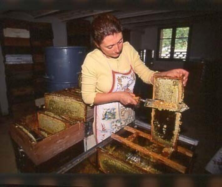 Miellerie du Val d'Oze