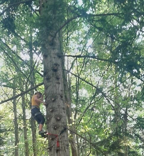 Percheries - Grimpe d'arbre et activités perchées
