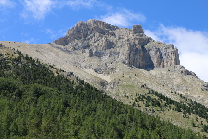 N°17 (vert) - Circuit du Pic et du Chamois