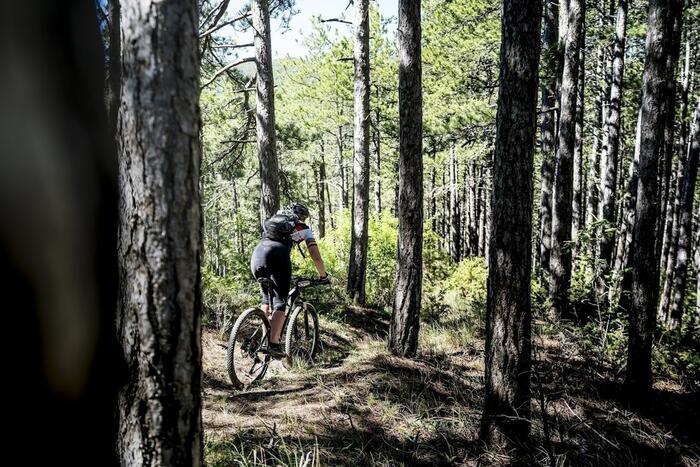 N°12 (Noir) - Un de Baumugne et le Pendu