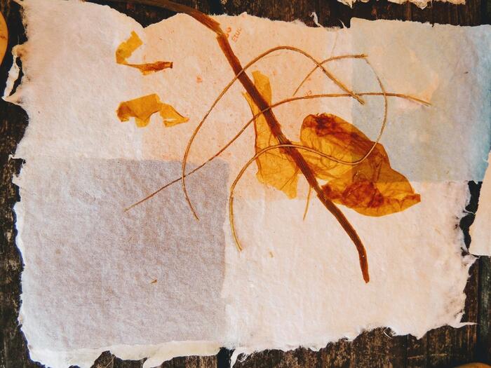 l'Esperluette - Stage : fabrication de papier de plantes et compositions grands papiers