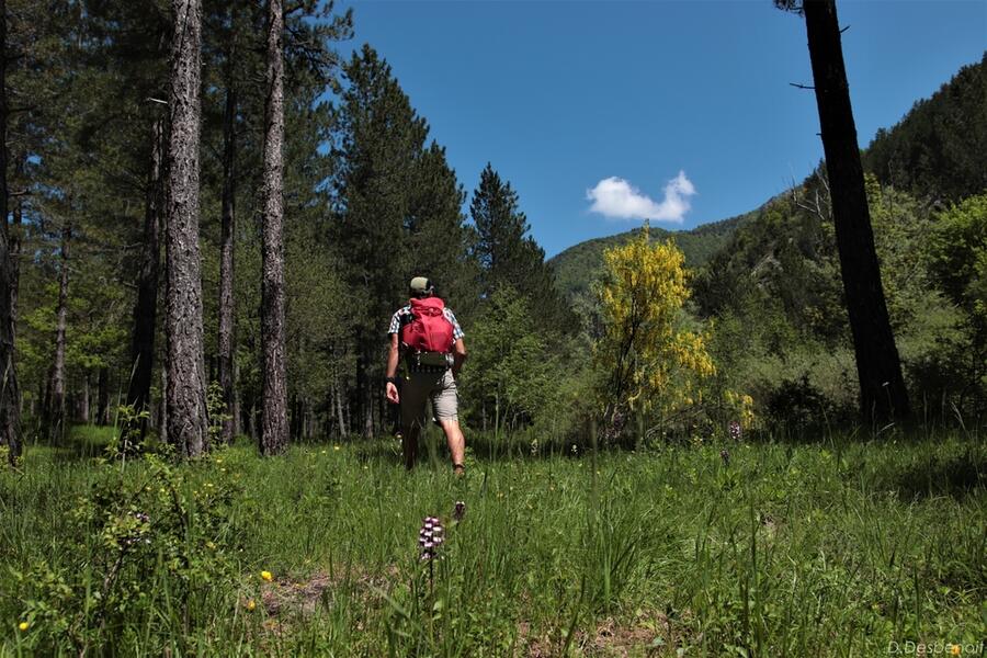 N°5  (vert) - Les Agniellards