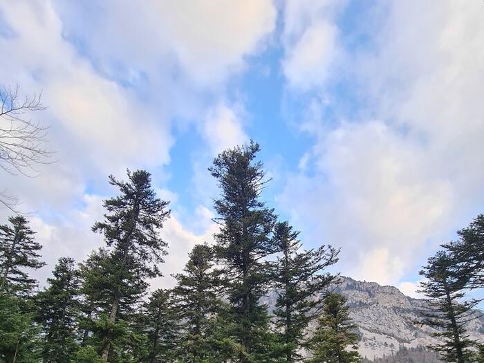 Parc aventure AccroBuëch