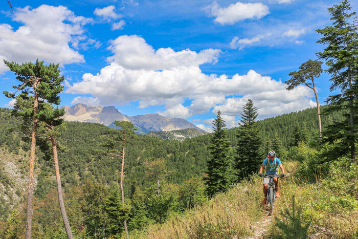 N°23 (Noir) - Pierrefeu et Cuberselle