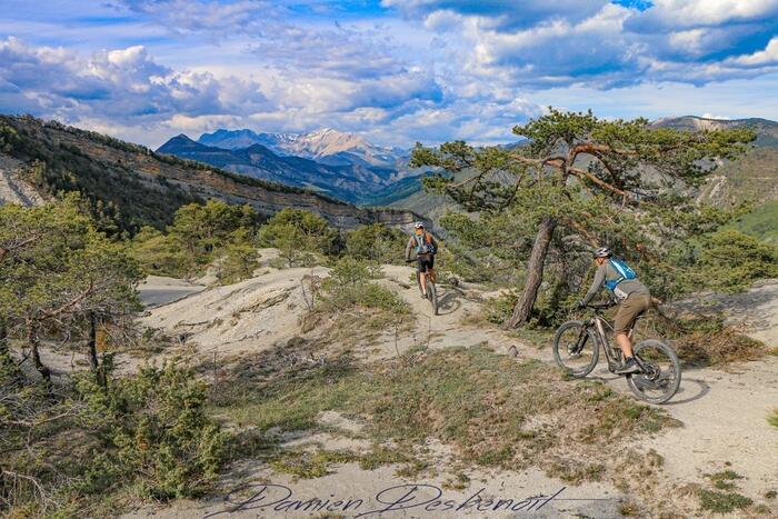 N°29 (Noir) - Tour d'Aujour