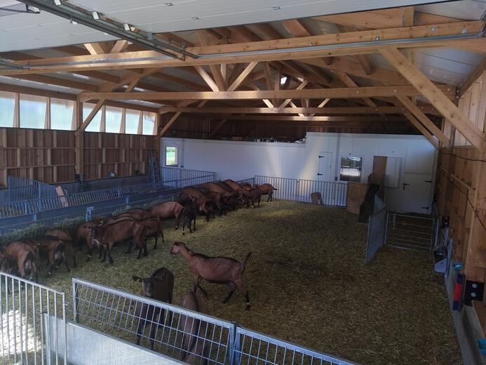 La Ferme de Meyssirat - Photo 5