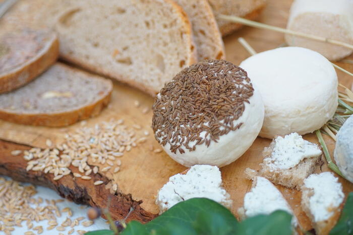 Fromage de chèvre frais au hebres - Photo 11