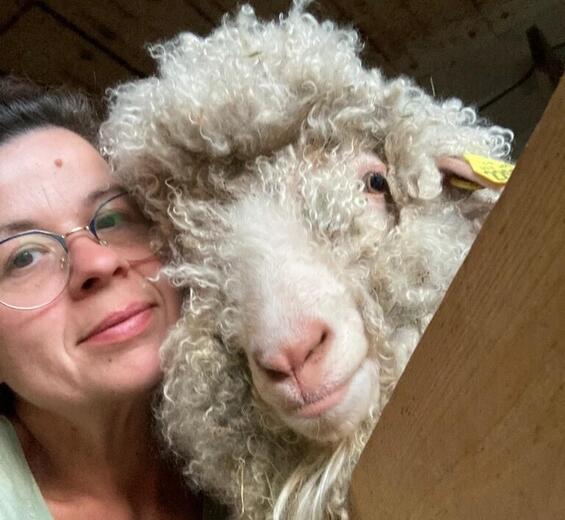 La Ferme Instant Mohair_Aspremont - Photo 8