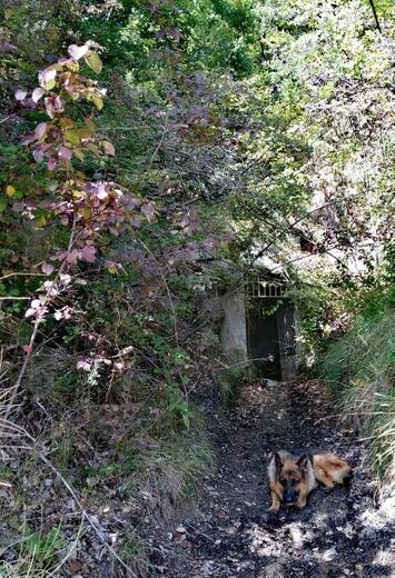 Source de la Bergère - Photo 5