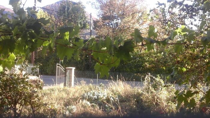 L'Abri Bleuet - Photo 10