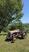 Photo Visite de la ferme du Domaine de la Beaumette_Aspres-sur-Buëch - Photo 11