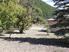 Photo Les Iris -  jardin - Photo 8