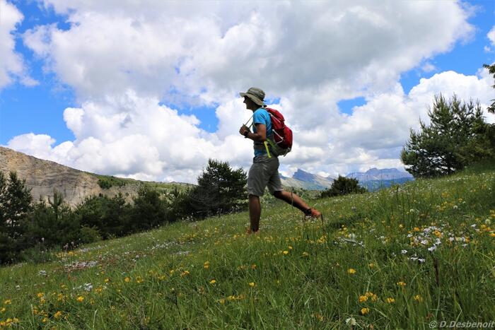 La Randonnée du Quigouret - Photo 2