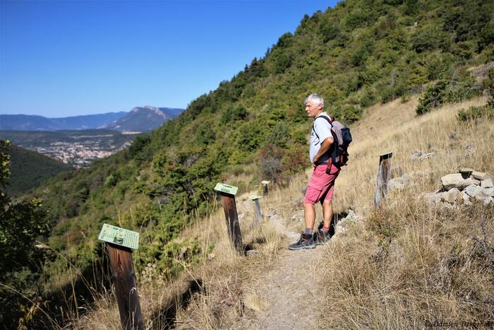 sentier botanique - Photo 3