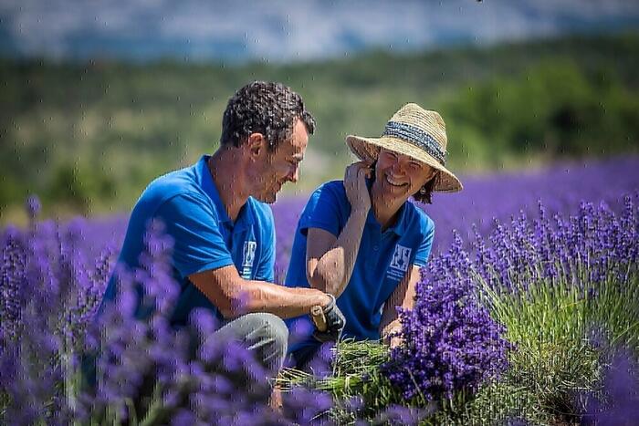 Lavanderaie des Hautes Baronnies_Nossage-et-Bénévent - Photo 0