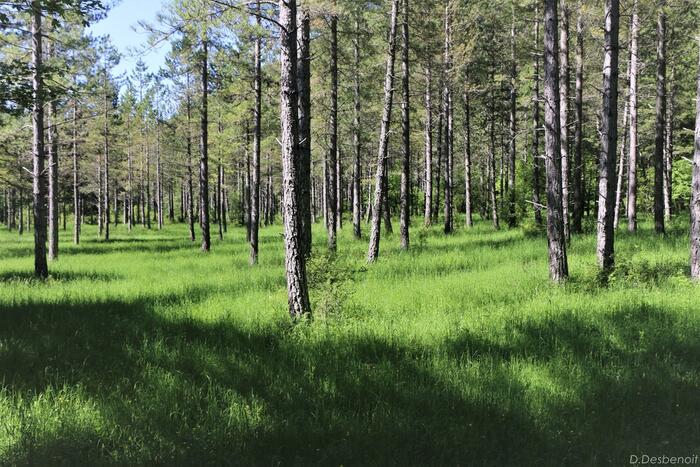 Les Agniellards - Photo 2