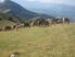 Photo Le villauret - Photo 1