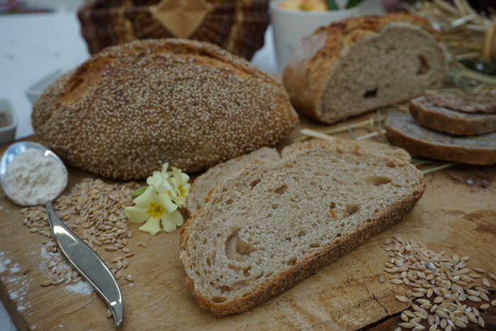 Le pain du Forest - Photo 1