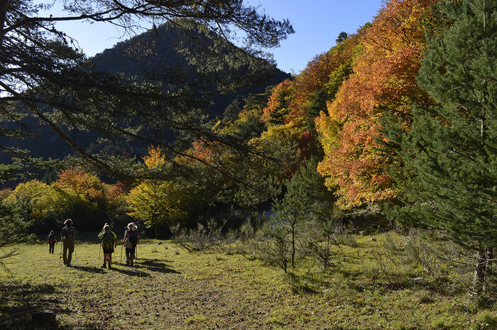 Séjour bivouac - Photo 2