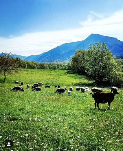 Domaine de la Beaumette - Photo 1