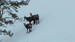 Photo Eric Fossard - Photo 5