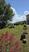 Photo Visite de la ferme du Domaine de la Beaumette_Aspres-sur-Buëch - Photo 13