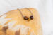 Photo  - Photo 11