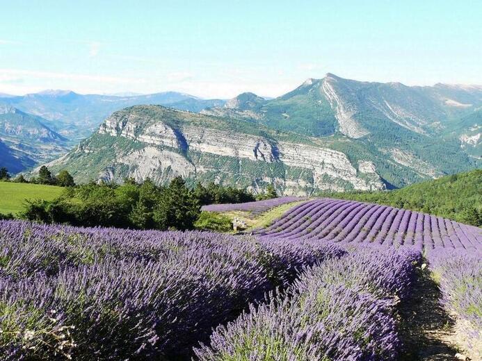 Location de vacances : Liochette à La Faurie - Photo 9