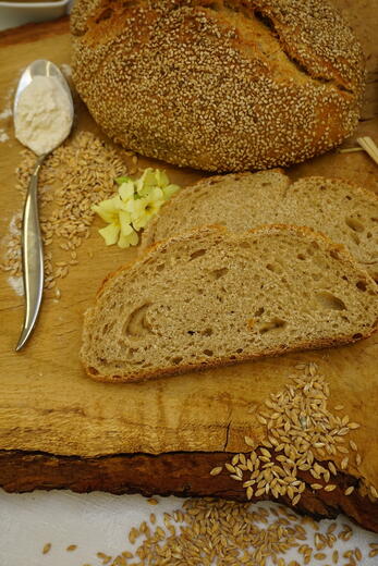 Le pain du Forest - Photo 3