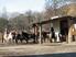 Centre Equestre EquiSoleil à Veynes - Photo 1
