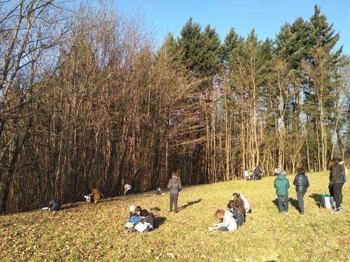 - Photo 21