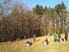 Photo  - Photo 21