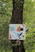 Photo  - Photo 3