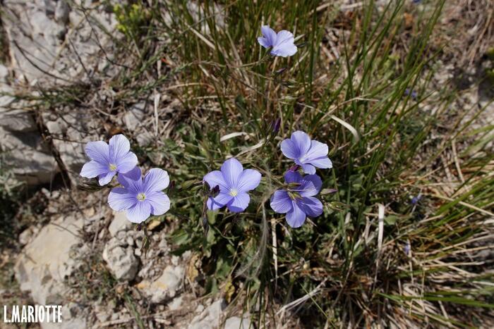 Montagne d'Oule - Photo 7