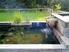 Photo Location de vacances : Chalet Edelweiss Sud-Ouest à Veynes - Photo 9