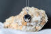 Photo  - Photo 6