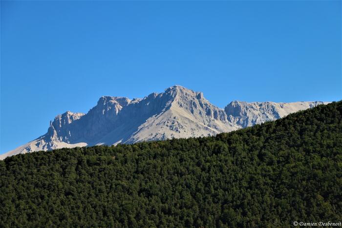 sentier botanique - Photo 2
