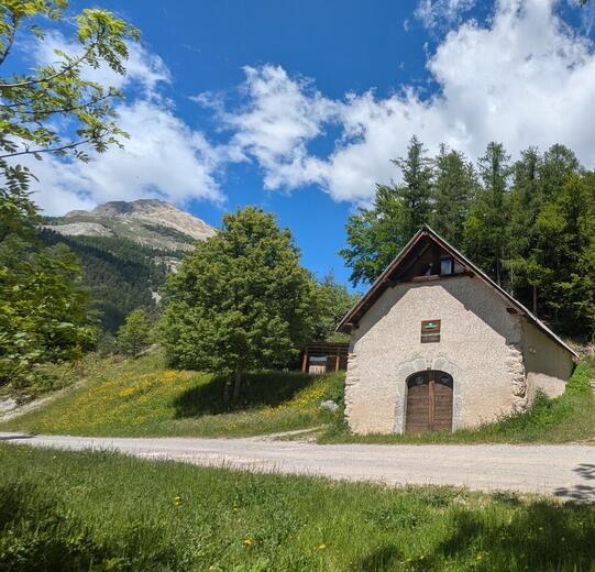Petit gîte forestier de Matacharre_La Roche-des-Arnauds - Photo 1