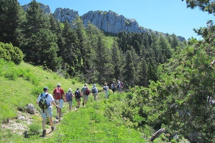 Eric BURCKEL - Accompagnateur en Montagne à Manteyer - Photo 0