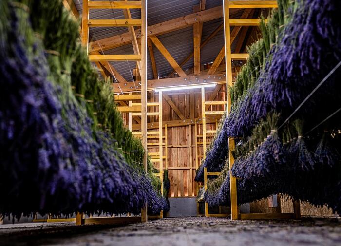 Séchoir à bouquet - Photo 10