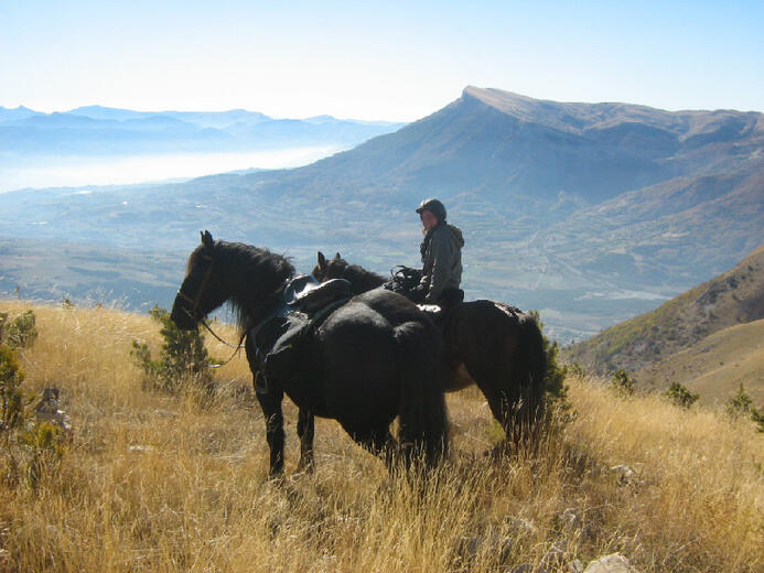 Les Sabots de Vénus à La Roche des Arnauds - Photo 0