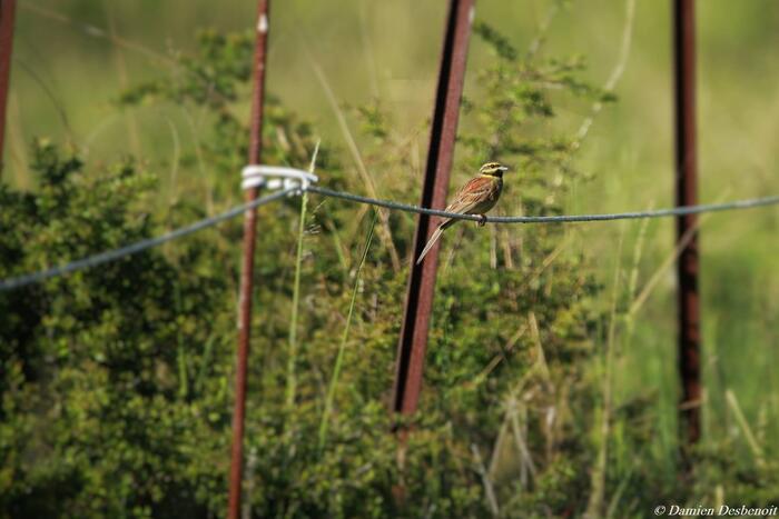 Petite boucle de l'Eygau - Photo 1