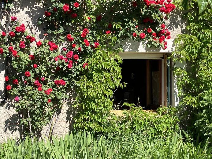 la fenêtre de la cuisine - Photo 10