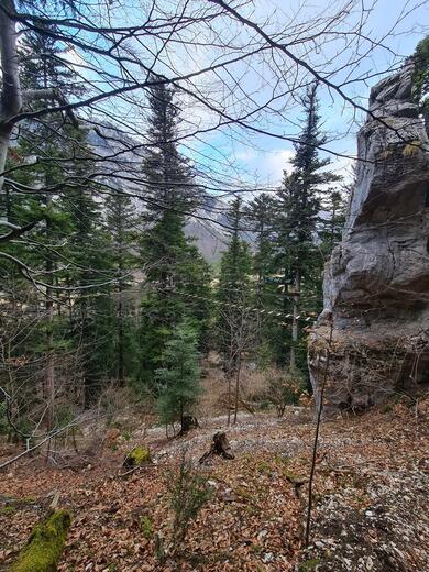 Bureau des guides - Accrobuech avec En Montagne - Lus la Croix Haute - Photo 1