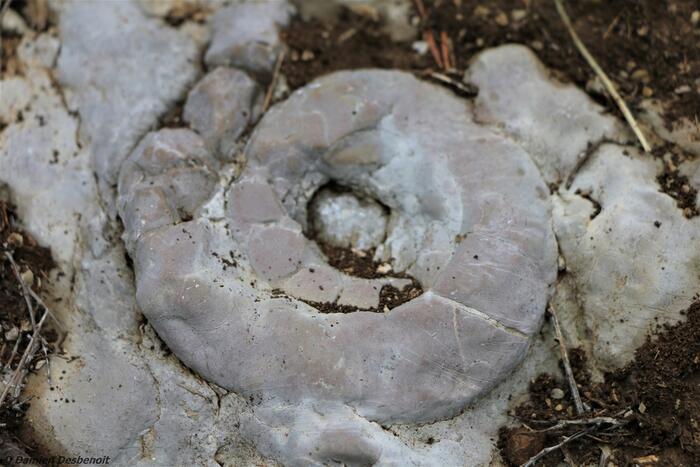 Les marmites du Diable - Photo 10