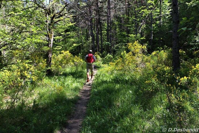 sentier thématique-Montbrand - Photo 1