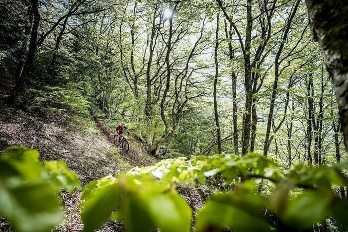 VTT Hêtraie - Photo 0