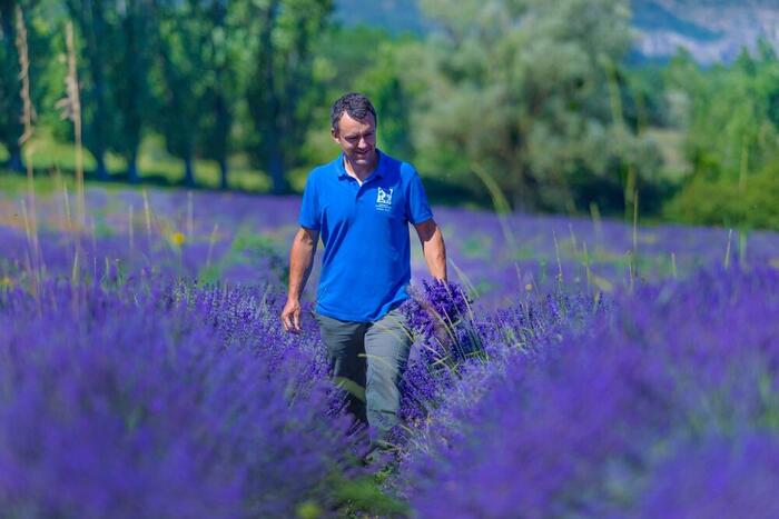 Lavanderaie des Hautes Baronnies - Photo 1
