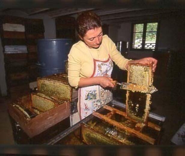 Miellerie du Val d'Oze - Photo 0